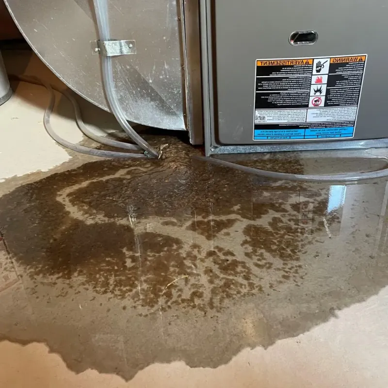 Pipe Burst and Leak Restoration in Riverton, WY