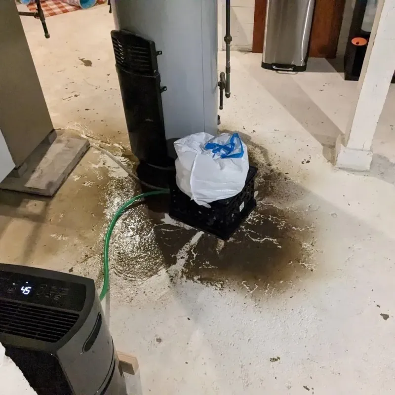 Sewage Backup Cleanup Service in Riverton, WY